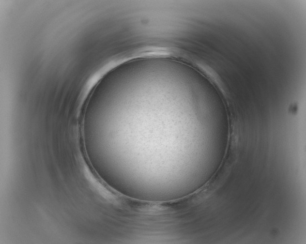 X0000113101475200909111039