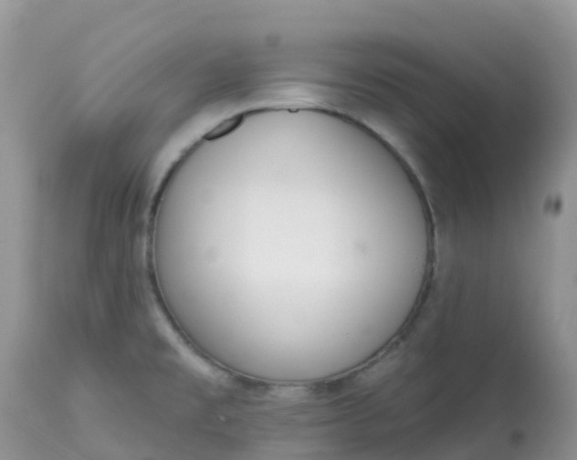 X0000113101477200909111039