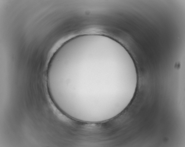 X0000113101478200909111039