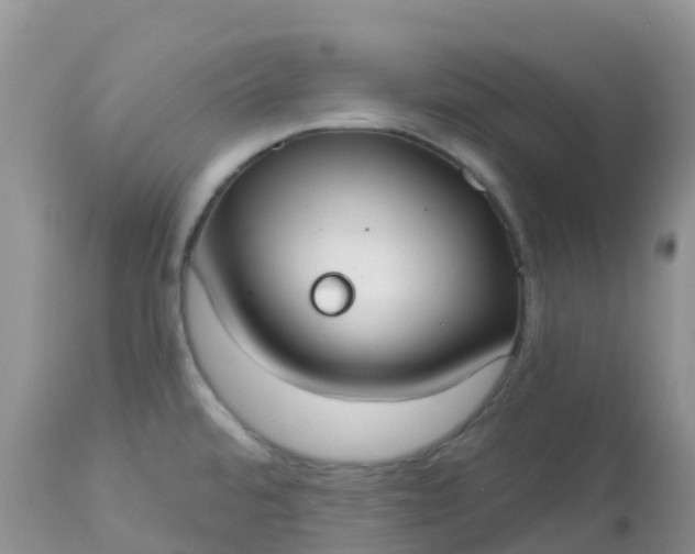 X0000113101480200909111039