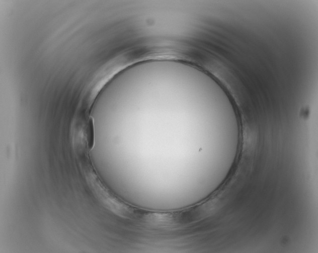 X0000113101481200909111039