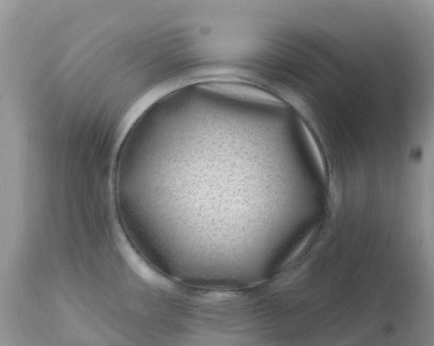X0000113101482200909111039