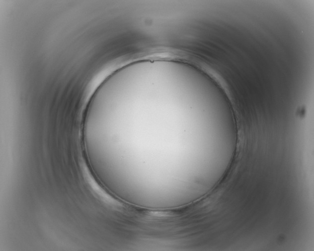 X0000113101483200909111039