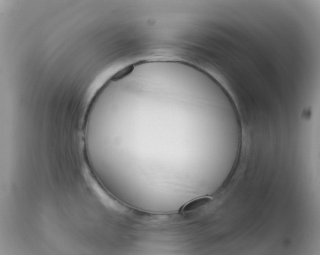 X0000113101485200909111039