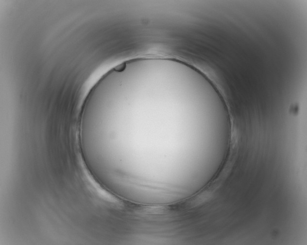 X0000113101486200909111039