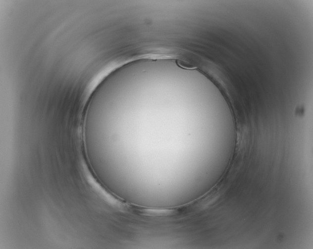 X0000113101487200909111039
