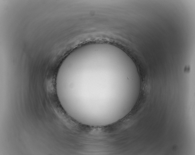 X0000113101490200909111038