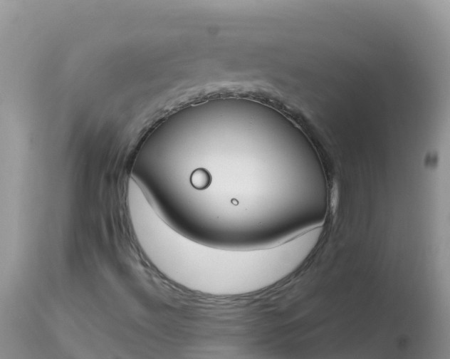 X0000113101492200909111038