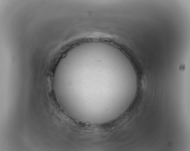 X0000113101493200909111038