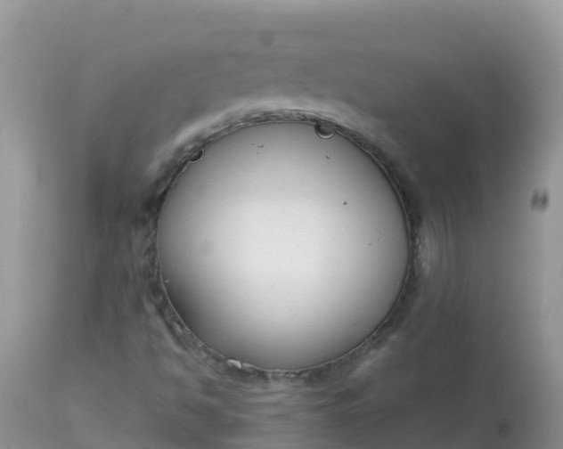 X0000113101494200909111038