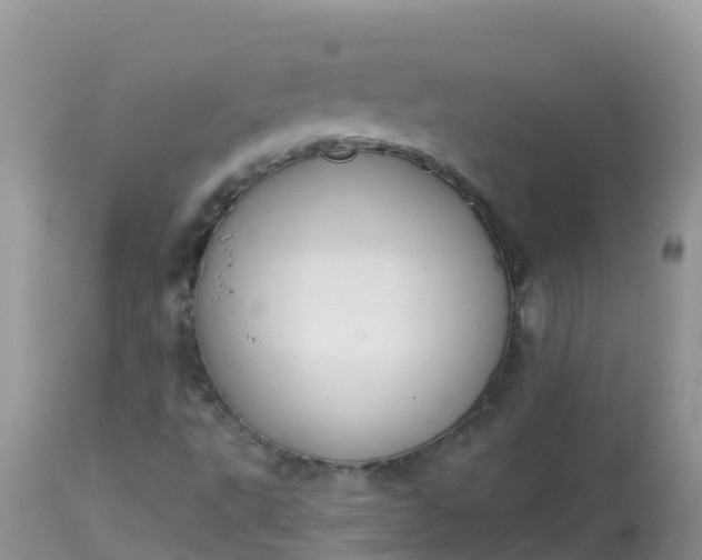 X0000113101495200909111038