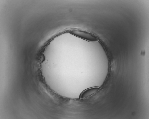 X0000113101496200909111038