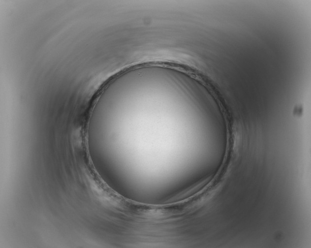 X0000113101497200909111038