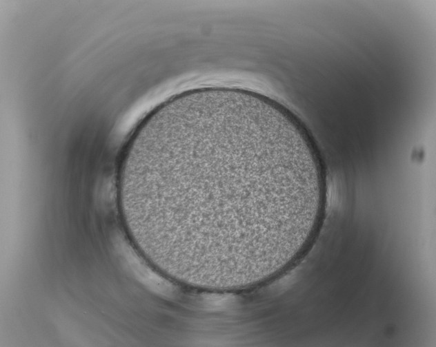 X0000113101498200909111038