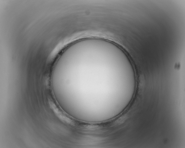 X0000113101499200909111038
