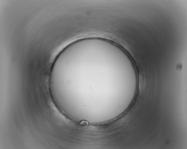 X0000113101500200909111038