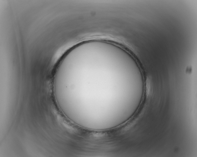 X0000113101501200909111038
