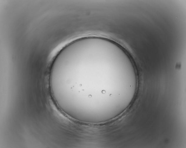 X0000113101504200909111038