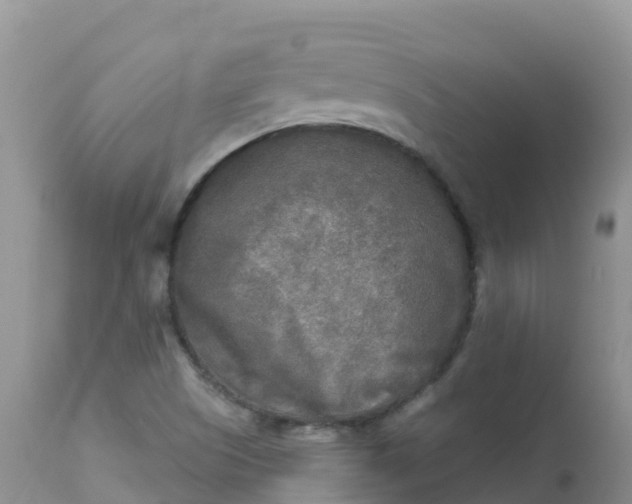 X0000113101505200909111038