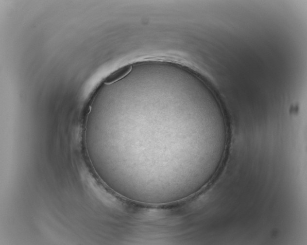 X0000113101506200909111039