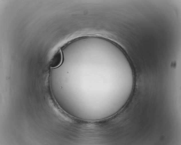 X0000113101507200909111039