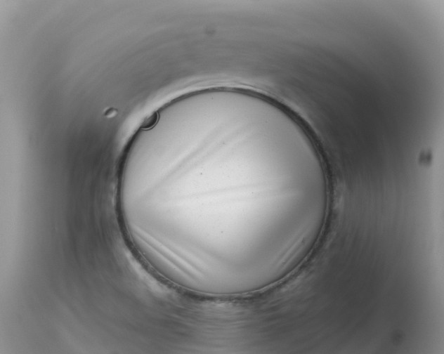 X0000113101508200909111039