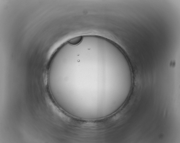 X0000113101510200909111039