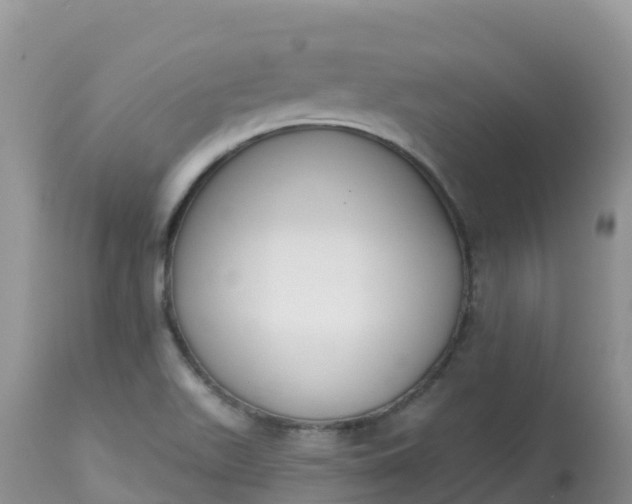 X0000113101511200909111039