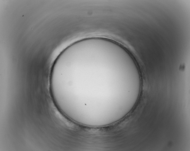 X0000113101512200909111039