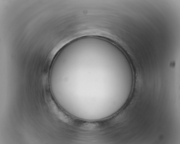 X0000113101513200909111039