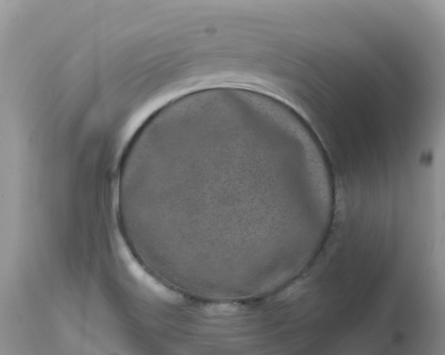 X0000113101515200909111039