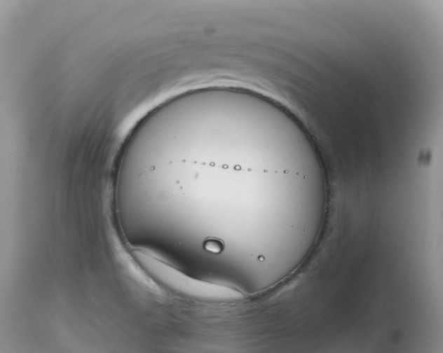 X0000113101518200909111039