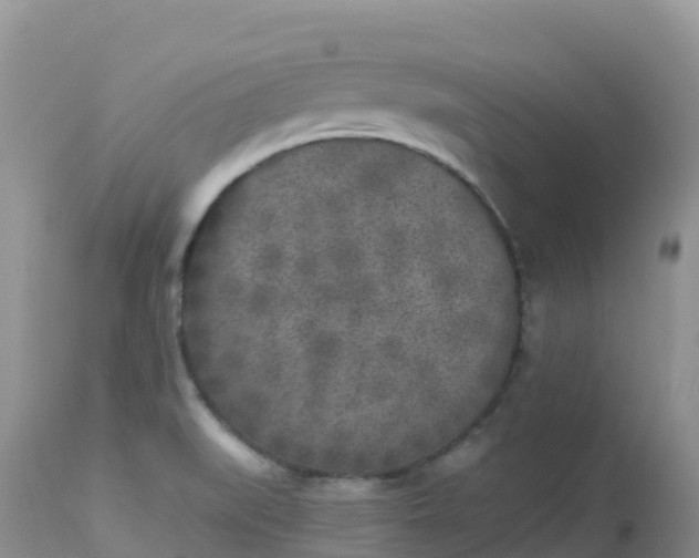 X0000113101519200909111039