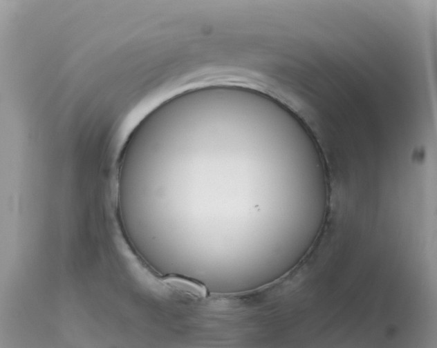 X0000113101520200909111039