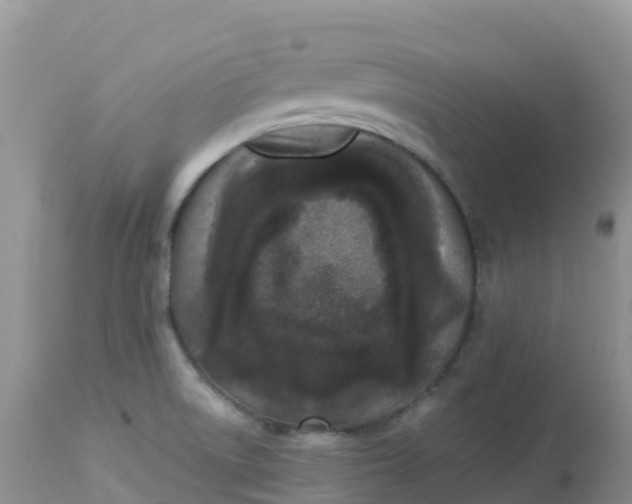 X0000113101522200909111039