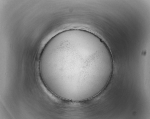 X0000113101525200909111039