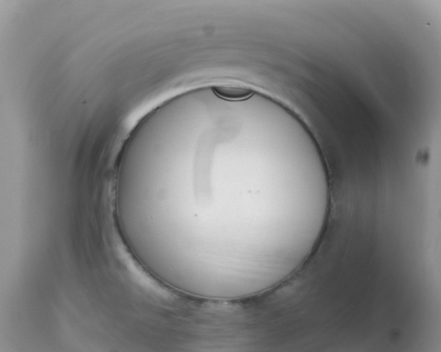 X0000113101526200909111039