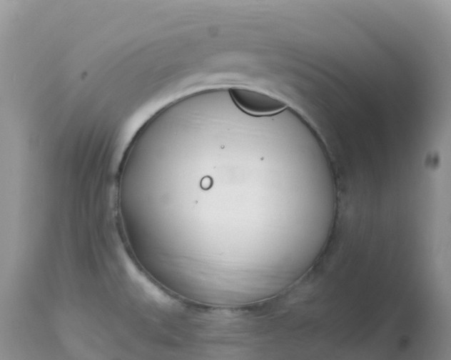 X0000113101527200909111039