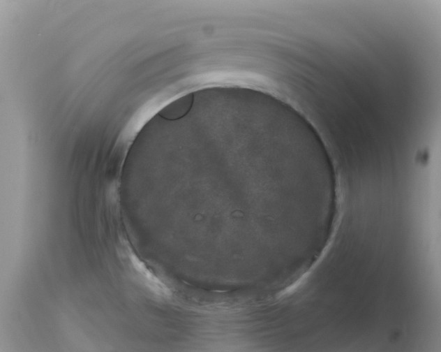 X0000113101529200909111039