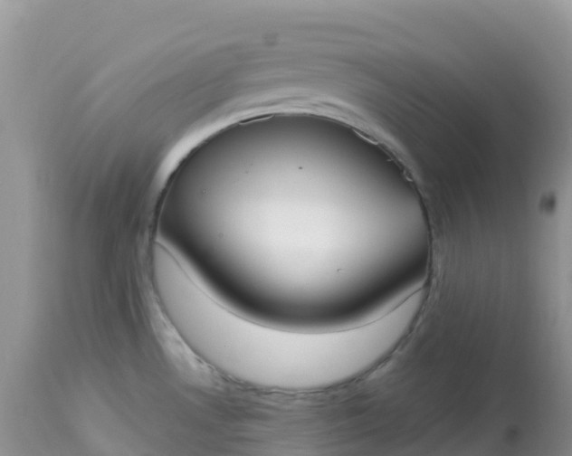 X0000113101530200909111039