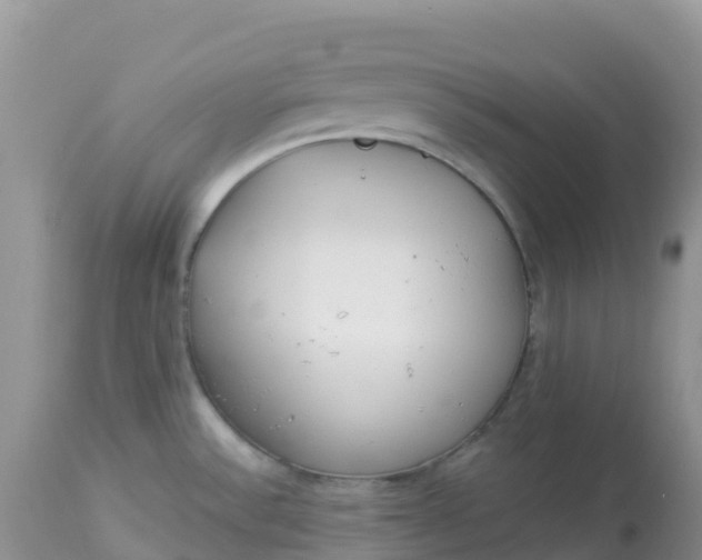 X0000113101532200909111039