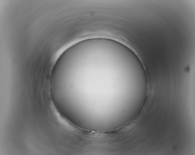 X0000113101534200909111039