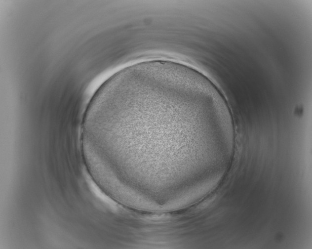 X0000113101535200909111039