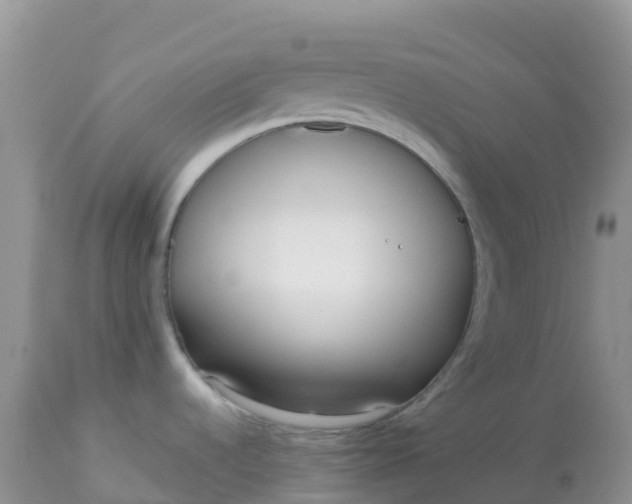 X0000113101536200909111039