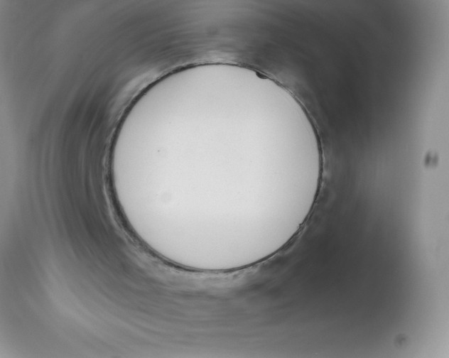 X0000113100001200909182149