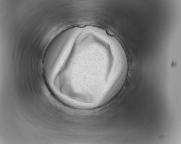 X0000113100002200909182149