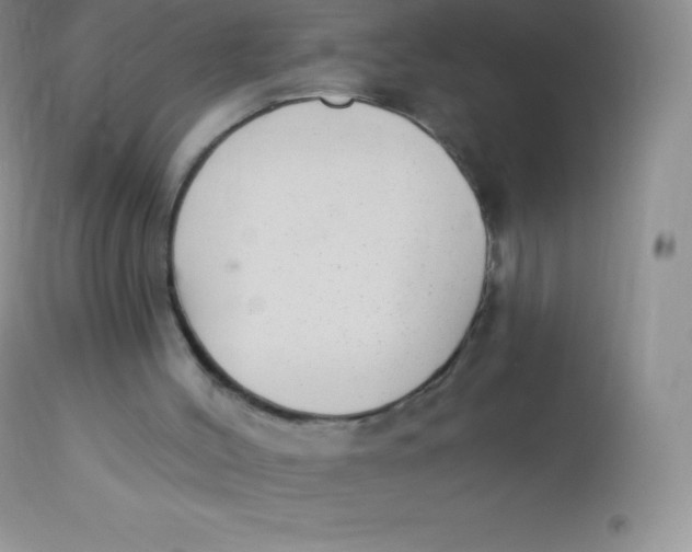 X0000113100004200909182149