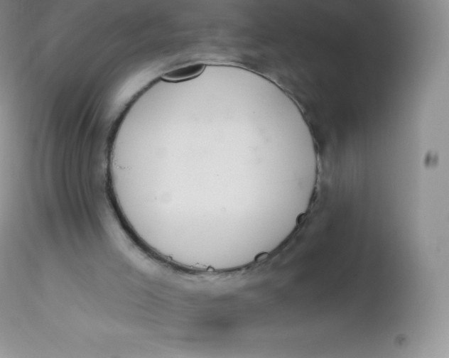 X0000113100005200909182149
