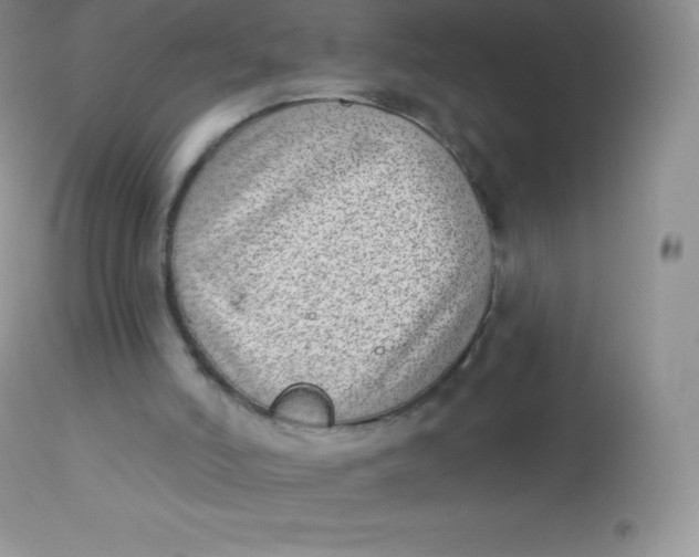 X0000113100006200909182149