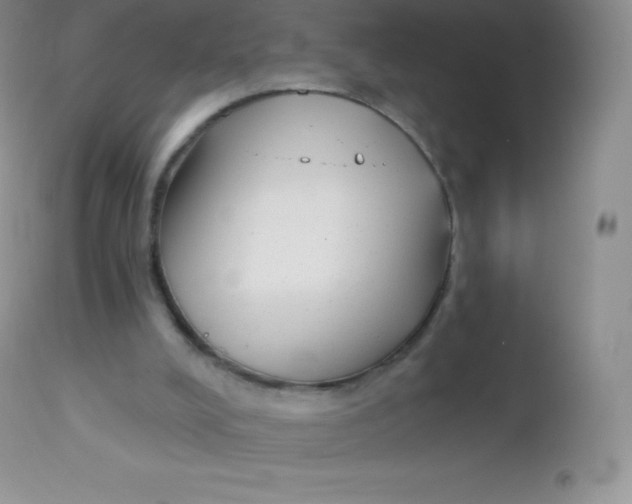X0000113100008200909182149